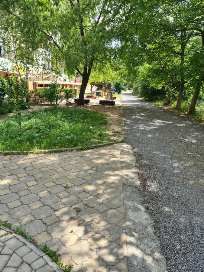 2-х кім.квартира в центрі берегова Apartment *