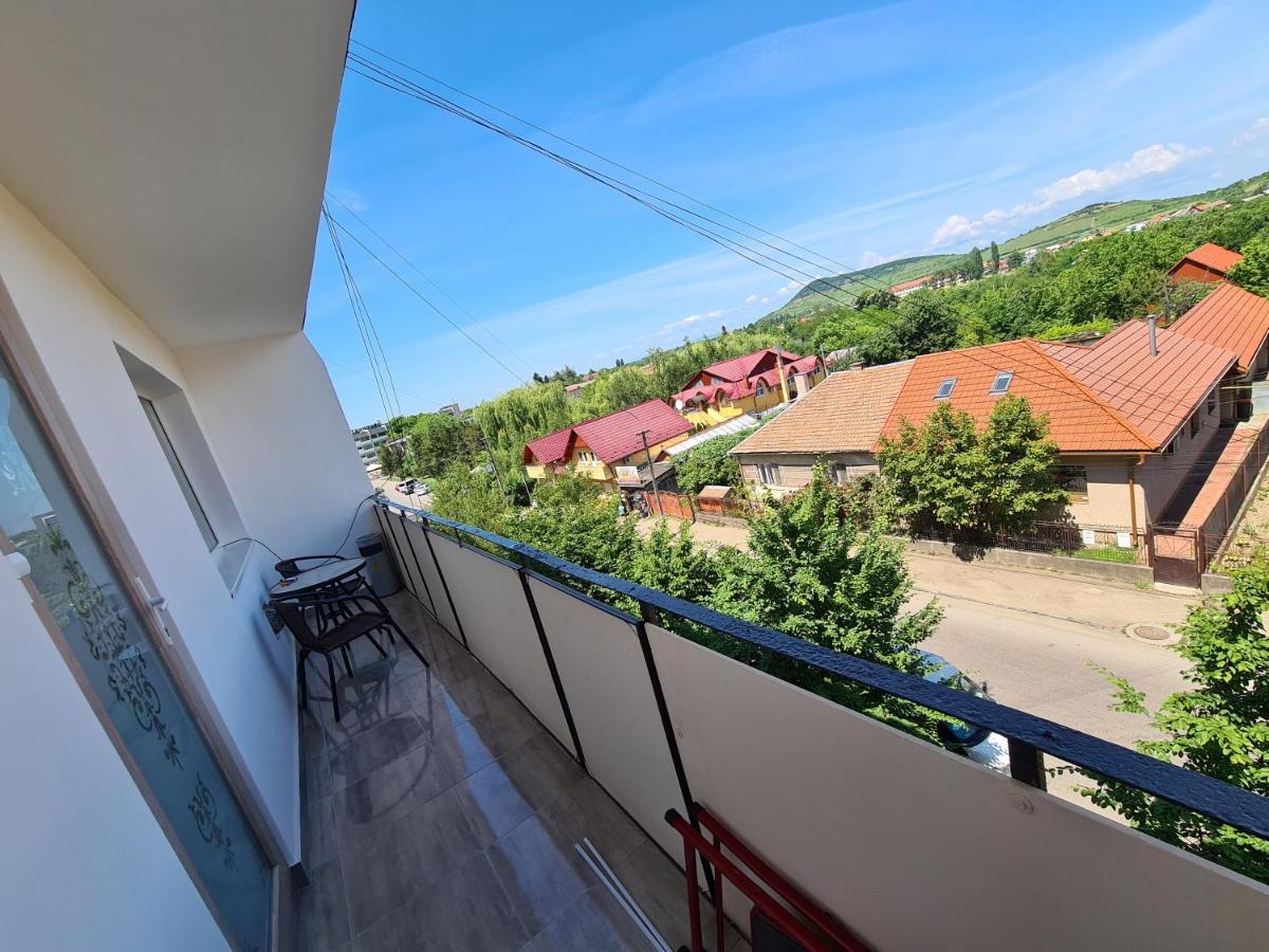 2-х кім.квартира в центрі берегова Apartment *